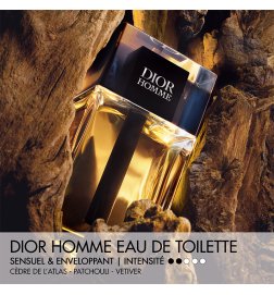 Dior Homme - Eau de Toilette